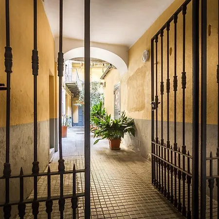 Collegio Dei Dottori 3 *