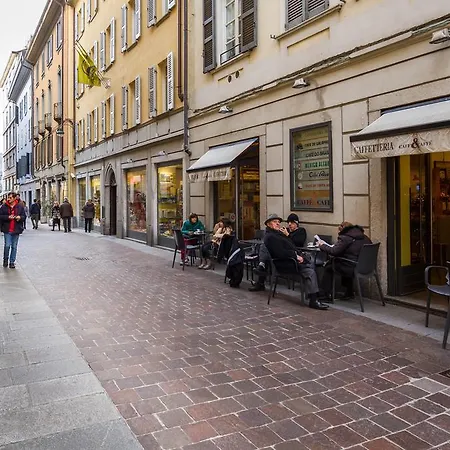 Collegio Dei Dottori 3 *